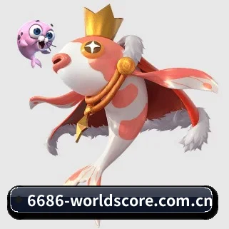 市场拓展