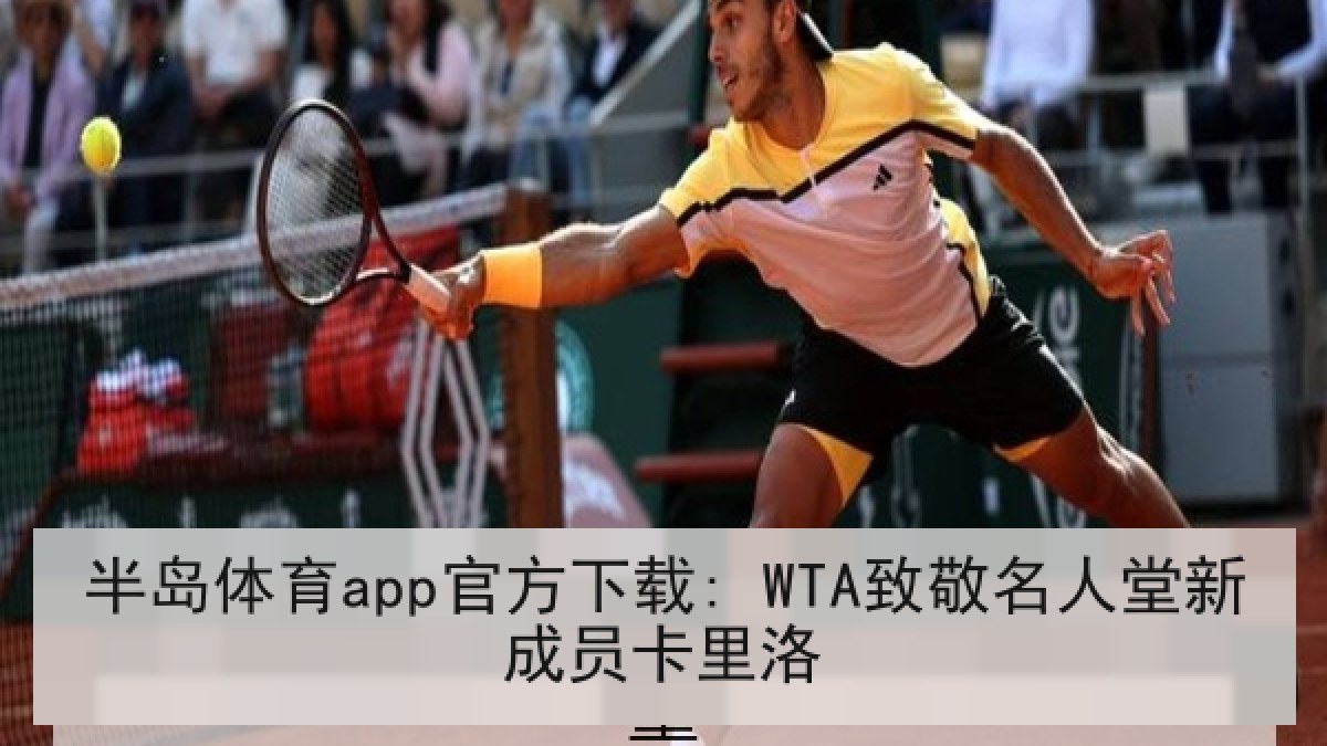 半岛体育app官方下载: WTA致敬名人堂新成员卡里洛